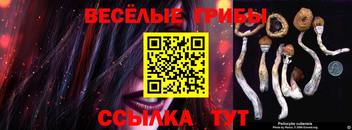 Галлюциногенные грибы мицелий Камышлов