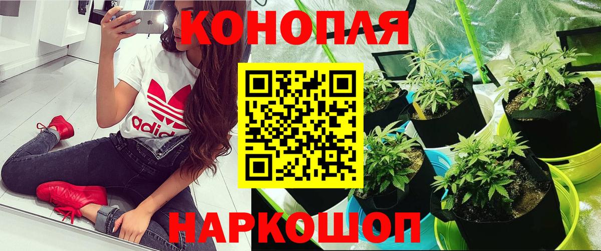 Бошки марихуана THC 21%  Бошки марихуана планчик  Бошки Шишки индика  Вход с VPN  Камышлов 